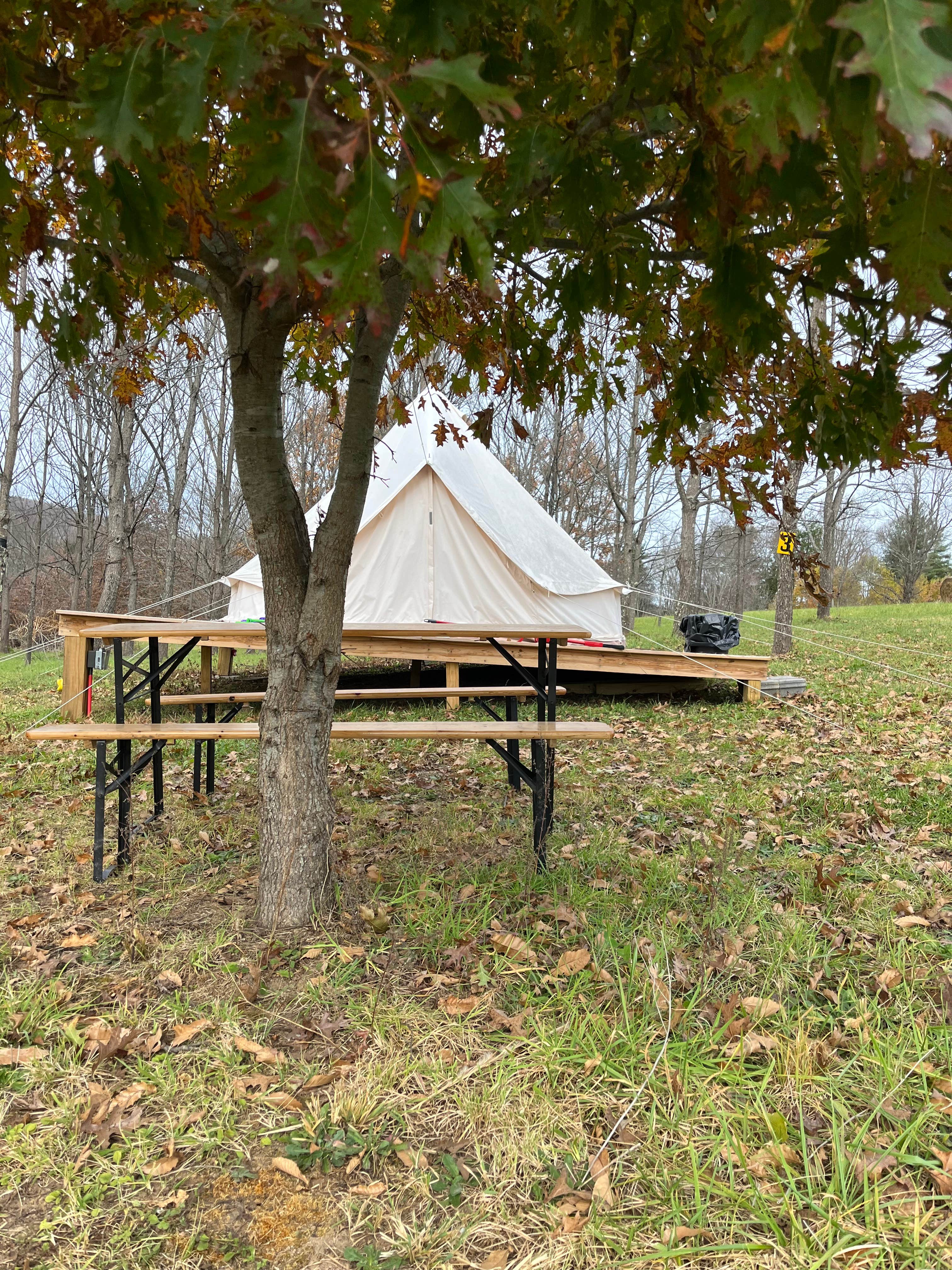 Walter B.'s photo at Tri Mountain View near Laurel Bloomery, TN