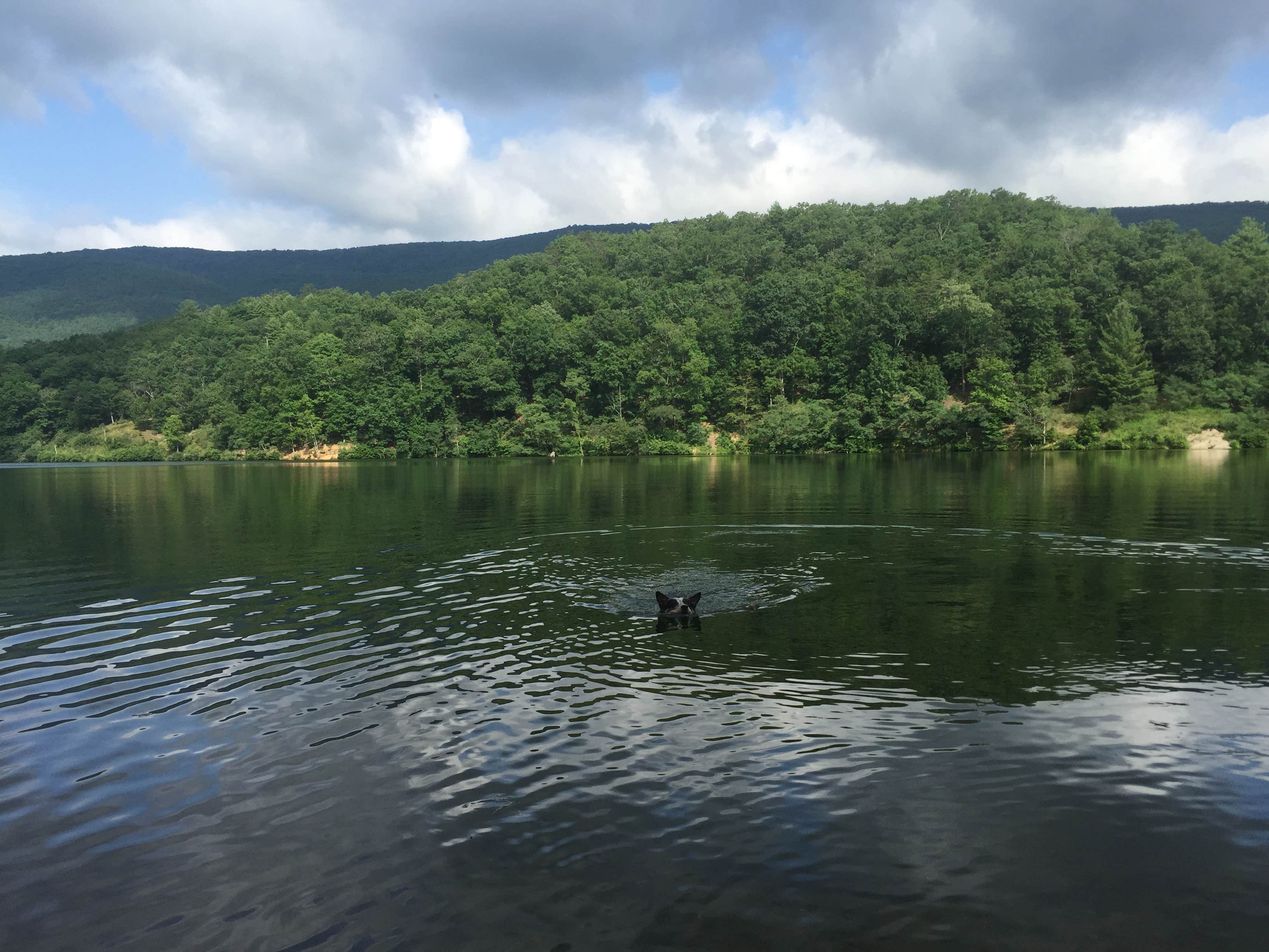 Camper submitted image from Douthat State Park Campground - 2