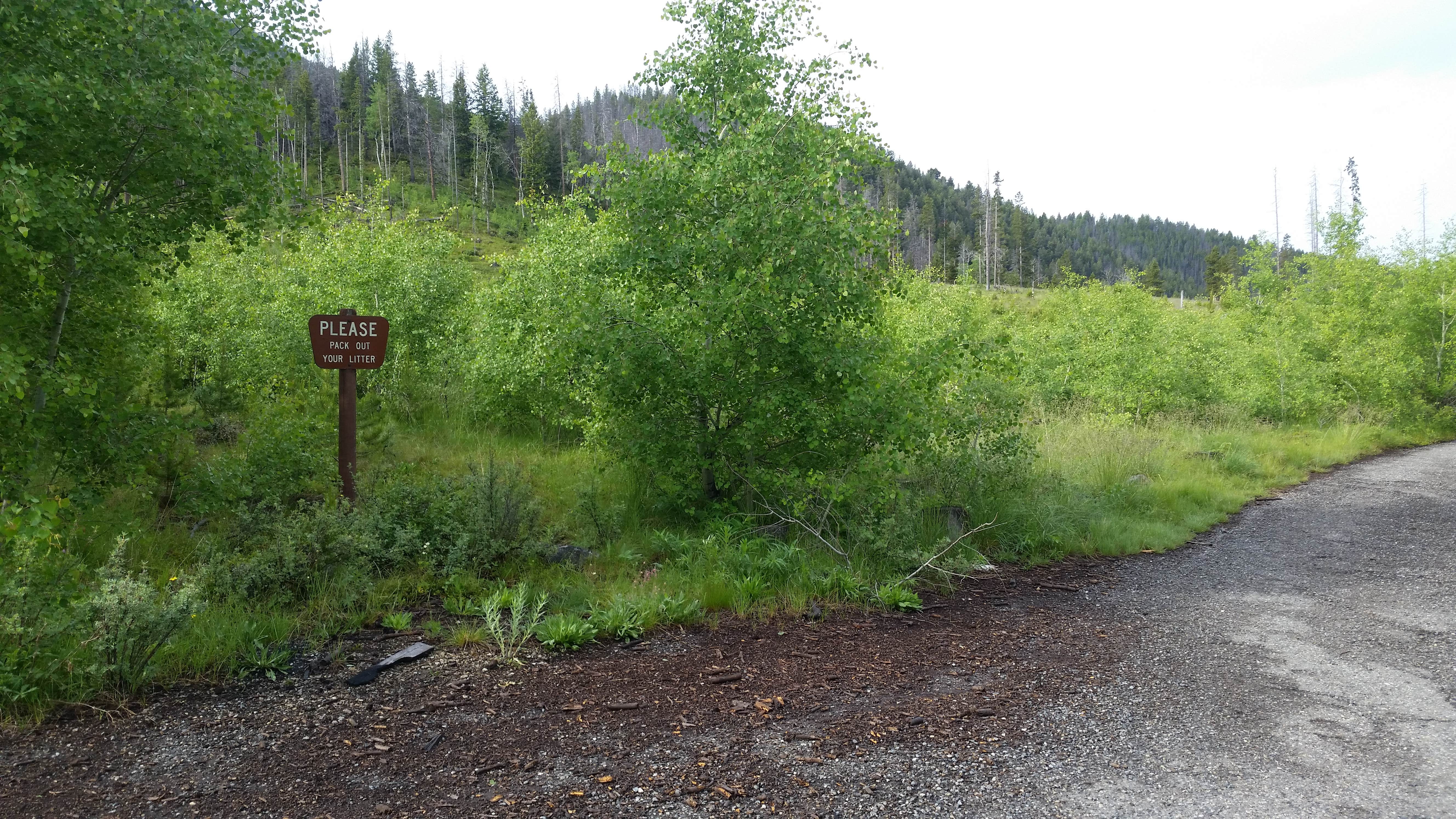 Camper-submitted photo at Ladysmith near Deer Lodge, MT