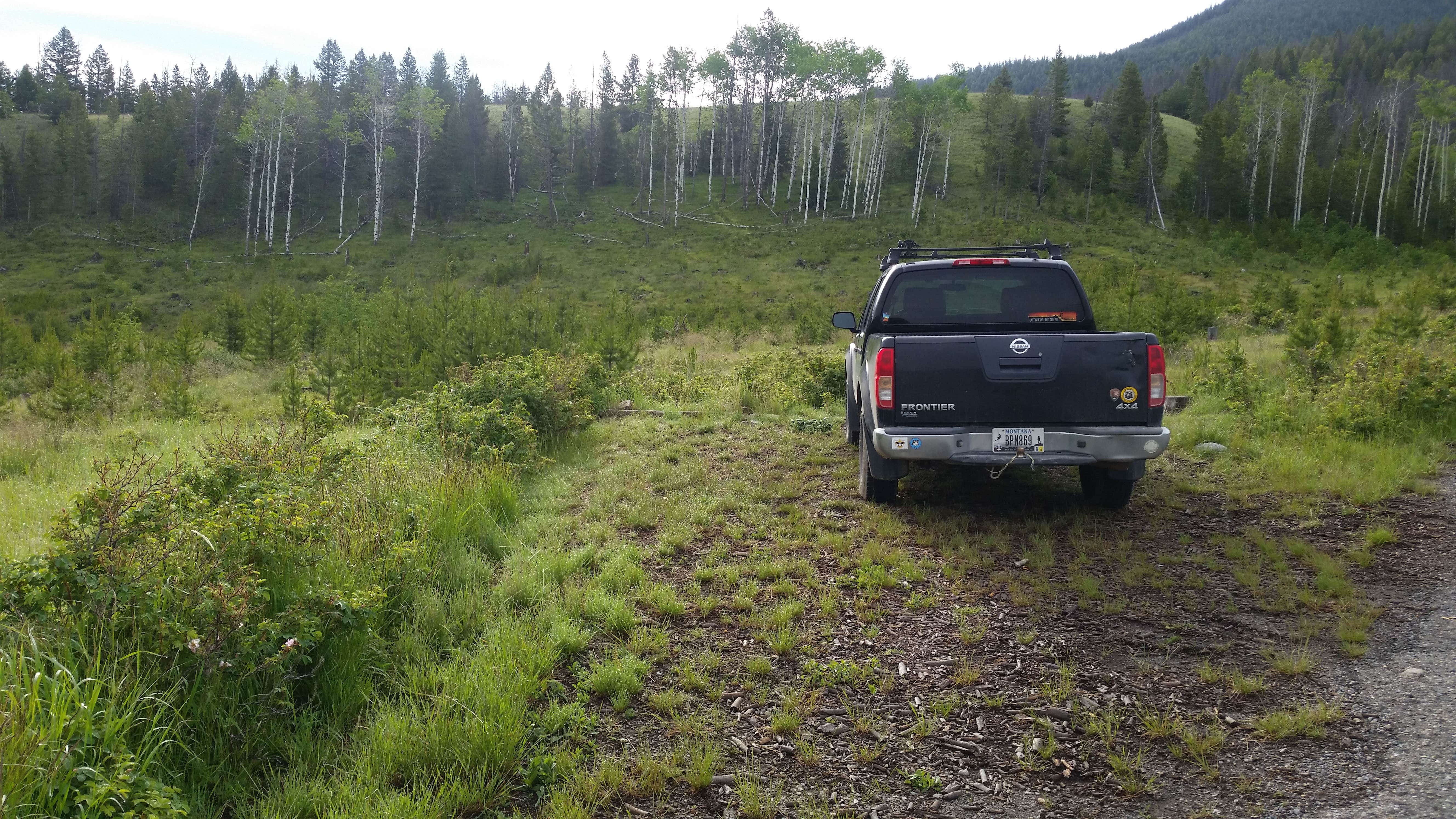 Camper-submitted photo at Ladysmith near Deer Lodge, MT