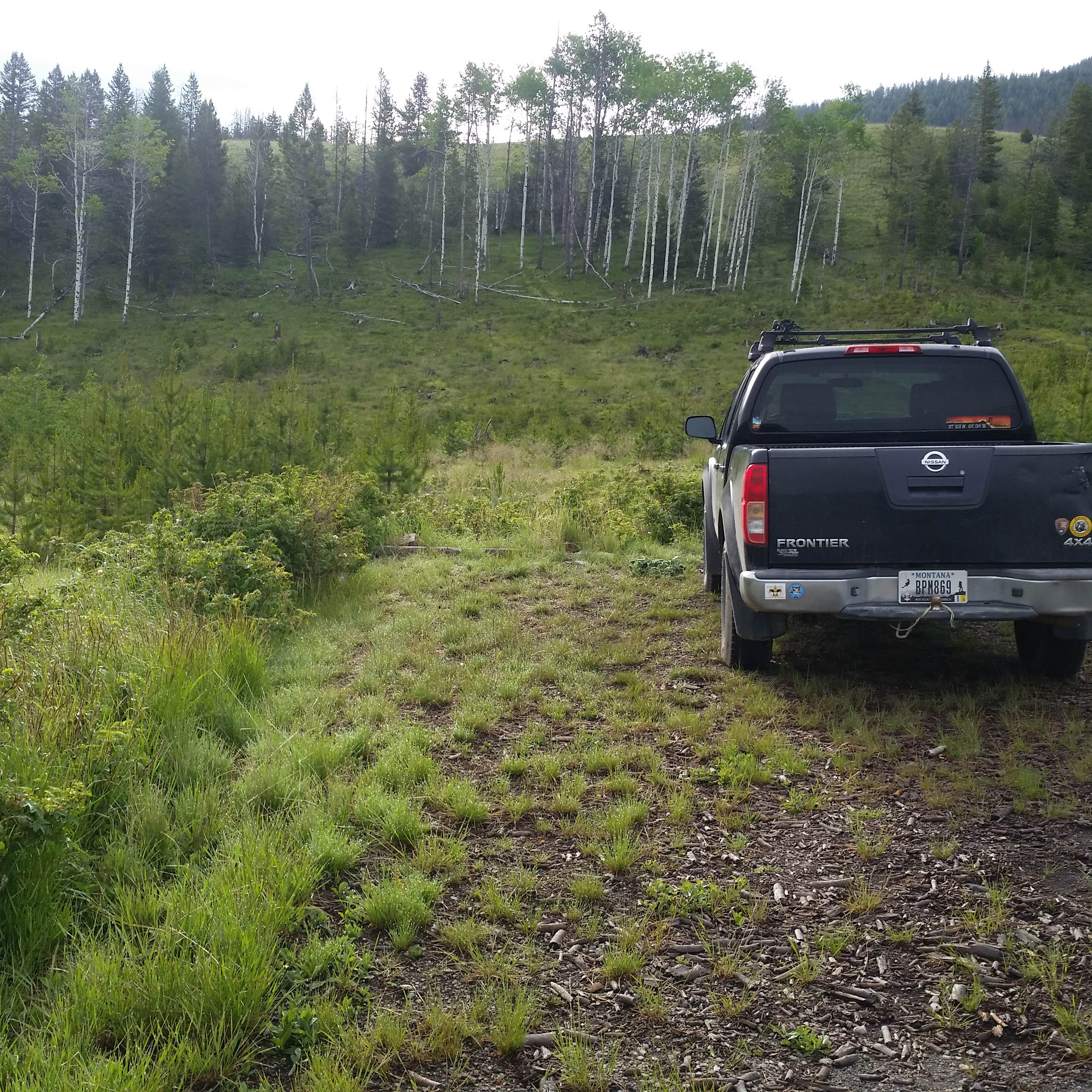 Montana’s Hidden Gem: Ladysmith Campground, Where Adventure Awaits