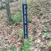 Review photo of Douthat State Park Campground by Molly G., September 17, 2016