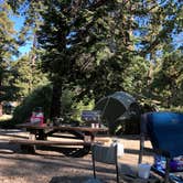 Review photo of San Bernardino National Forest Green Valley Campground by Chino F., July 1, 2019