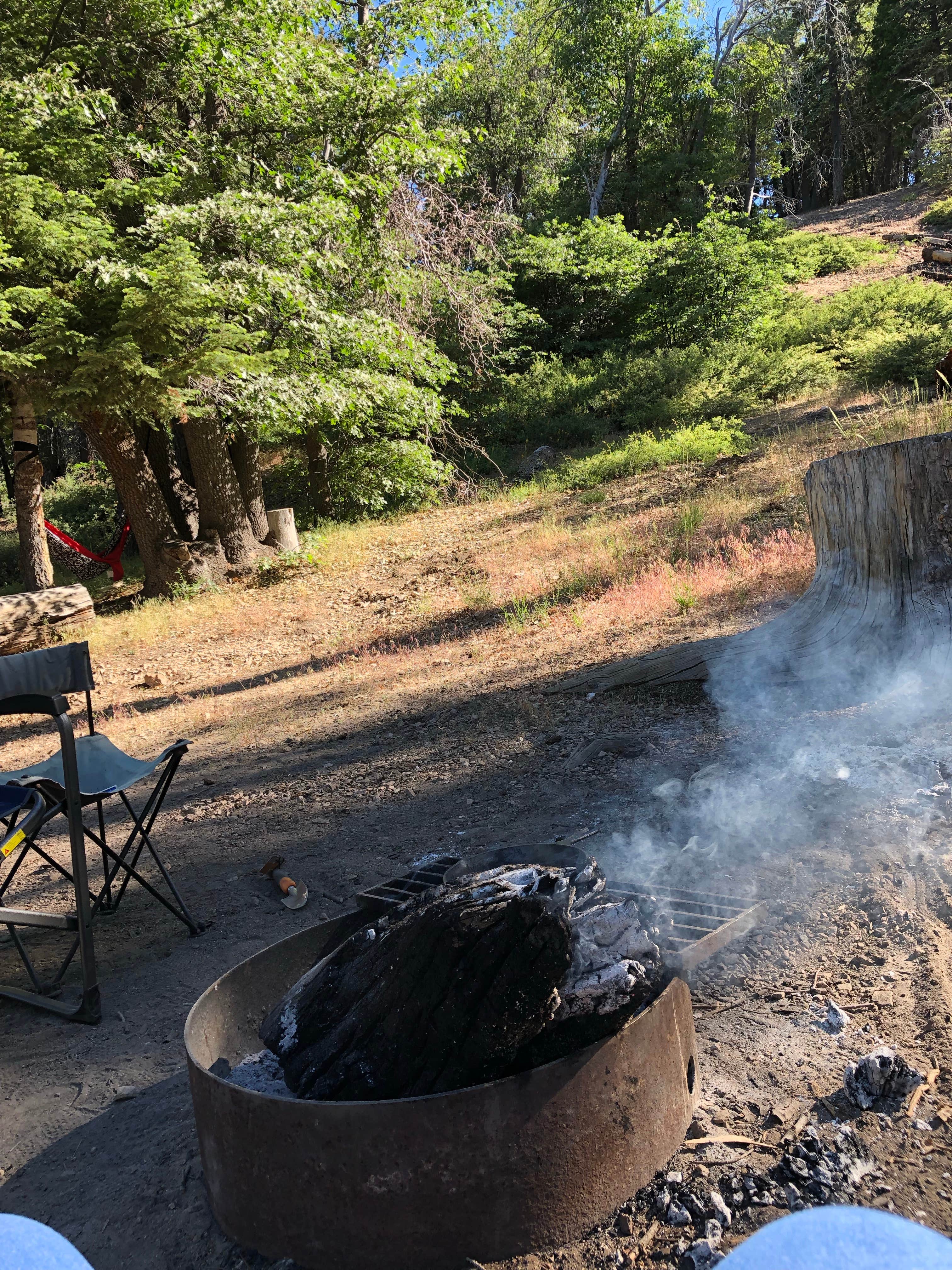 Camper-submitted photo at San Bernardino National Forest Green Valley Campground near Skyforest, CA