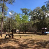 Review photo of Mutual Mine - Withlacoochee State Forest by Alex M., July 1, 2019