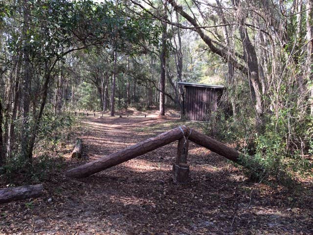 Alex M.'s photo of glamping accommodations at Mutual Mine Campground — Withlacoochee State Forest near Lutz, FL