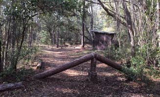 Alex M.'s photo of a cabin at Mutual Mine Campground — Withlacoochee State Forest near Lutz, FL