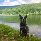 Review photo of Douthat State Park Campground by Molly G., September 17, 2016