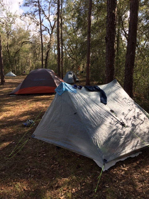 Camper submitted image from Mutual Mine - Withlacoochee State Forest - 5