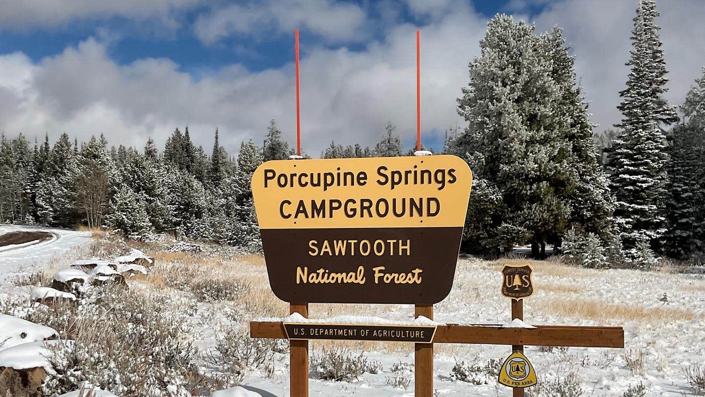 Camper submitted image from Porcupine Springs - 4