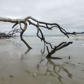 Review photo of Hunting Island State Park Campground by Fain H., July 24, 2016