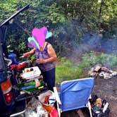 Review photo of Blue Ridge Roadside Campsites by Myron C., July 1, 2019