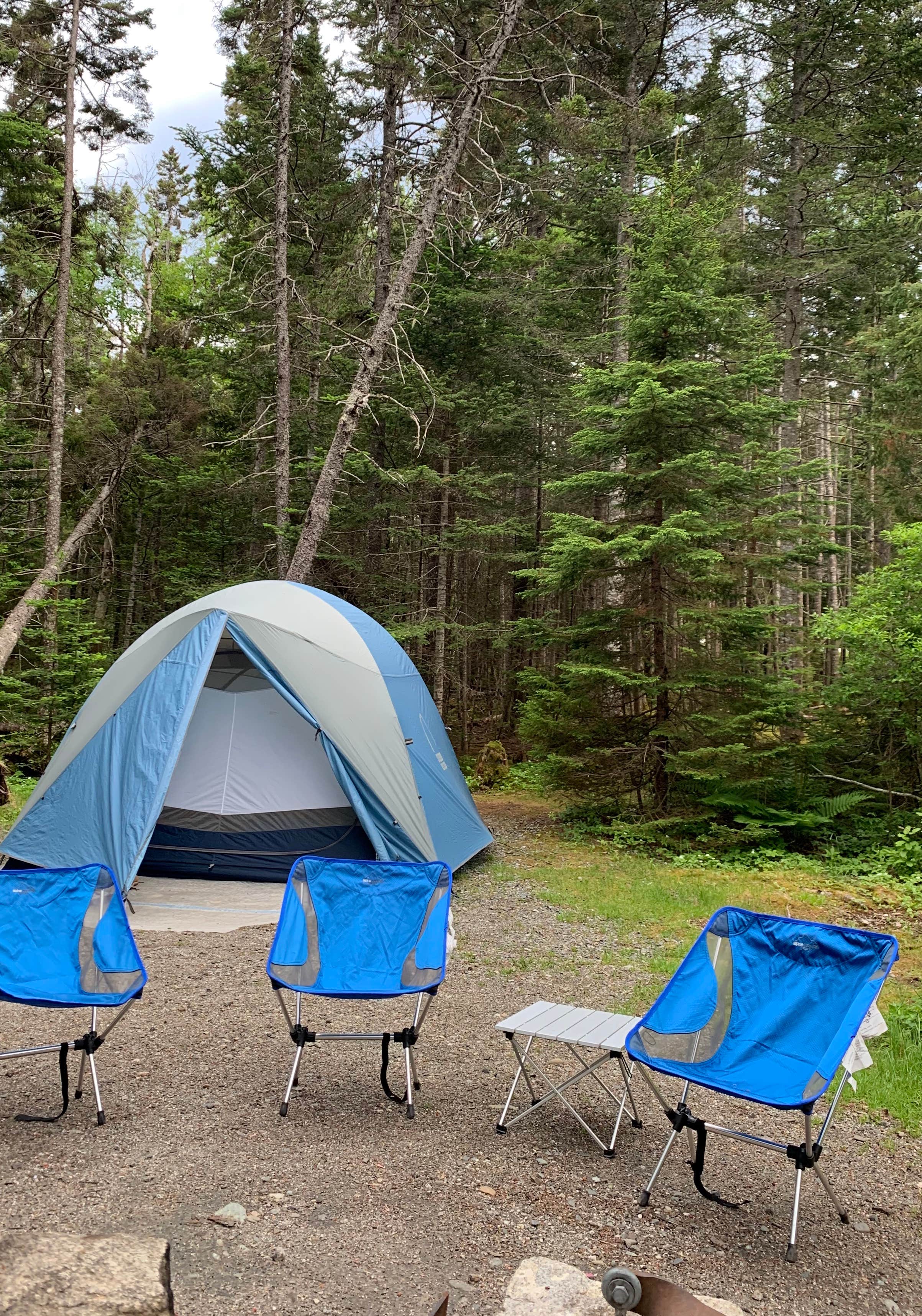 Michelle O.'s photo at Seawall Campground — Acadia National Park near Seal Harbor, ME