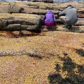 Review photo of Seawall Campground — Acadia National Park by Michelle O., July 1, 2019