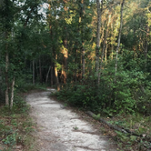 Review photo of George L Smith II State Park Campground by Matthew E., July 1, 2019