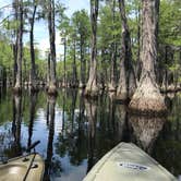 Review photo of George L Smith II State Park Campground by Matthew E., July 1, 2019