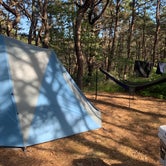 Review photo of North of Highland Camping Area by Michelle O., July 1, 2019