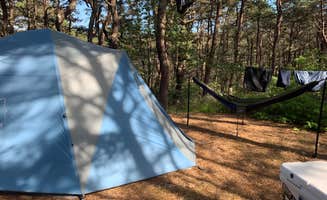 Michelle O.'s photo at North of Highland Camping Area near North Eastham, MA