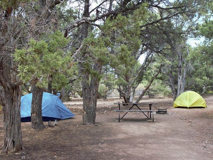 Camper submitted image from North Rim Campground — Black Canyon of the Gunnison National Park - 1