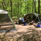 Review photo of Wild River State Park Campground by Elissa W., July 1, 2019