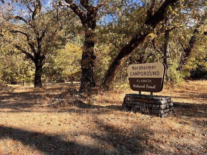 Camper submitted image from Nordheimer Group Sites — Six Rivers National Forest - 1