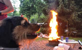 Mary S.'s photo of camping with pets at Gettysburg Campground near Chambersburg, PA