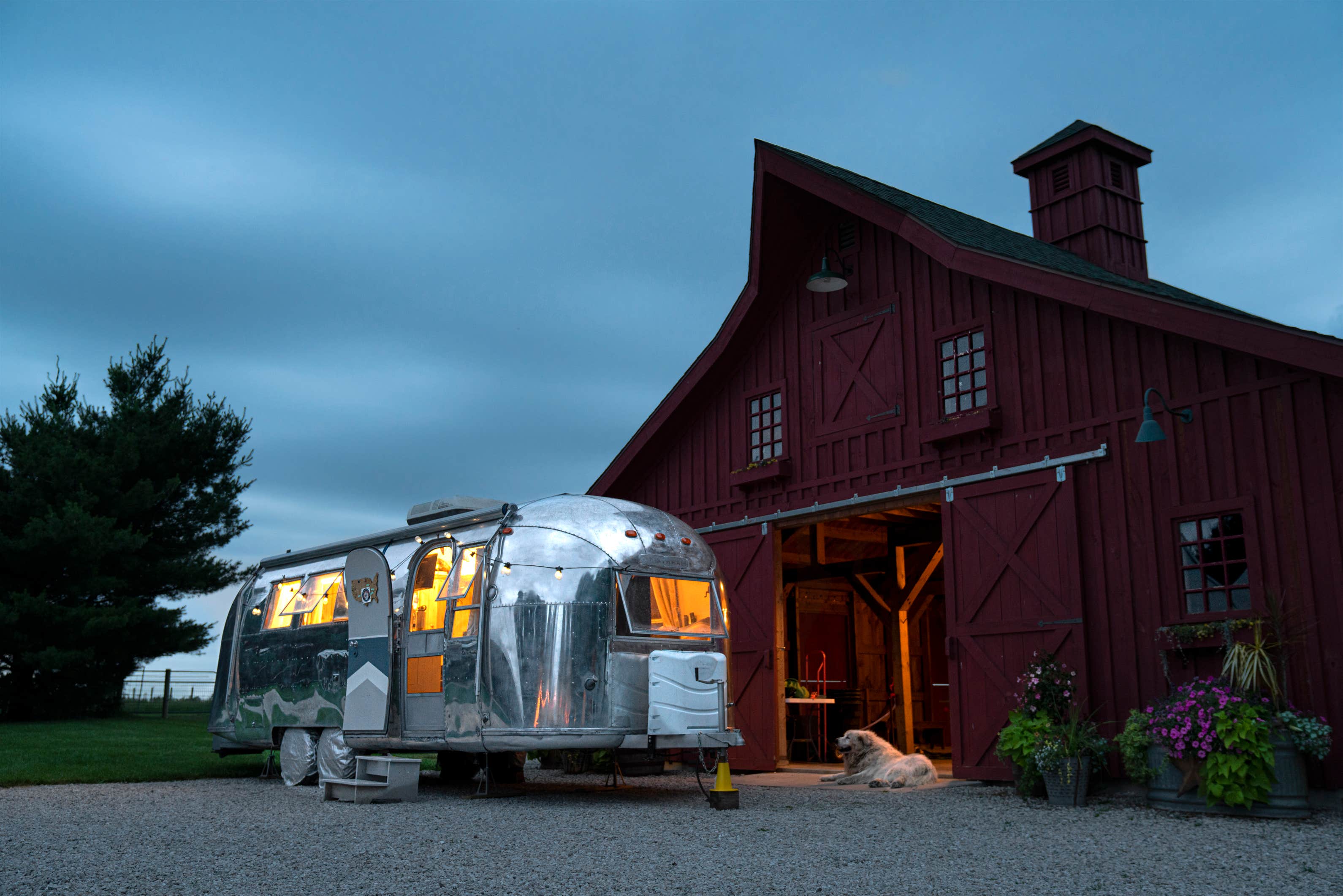 Camper submitted image from Heritage Farm Alpaca Experience - 4