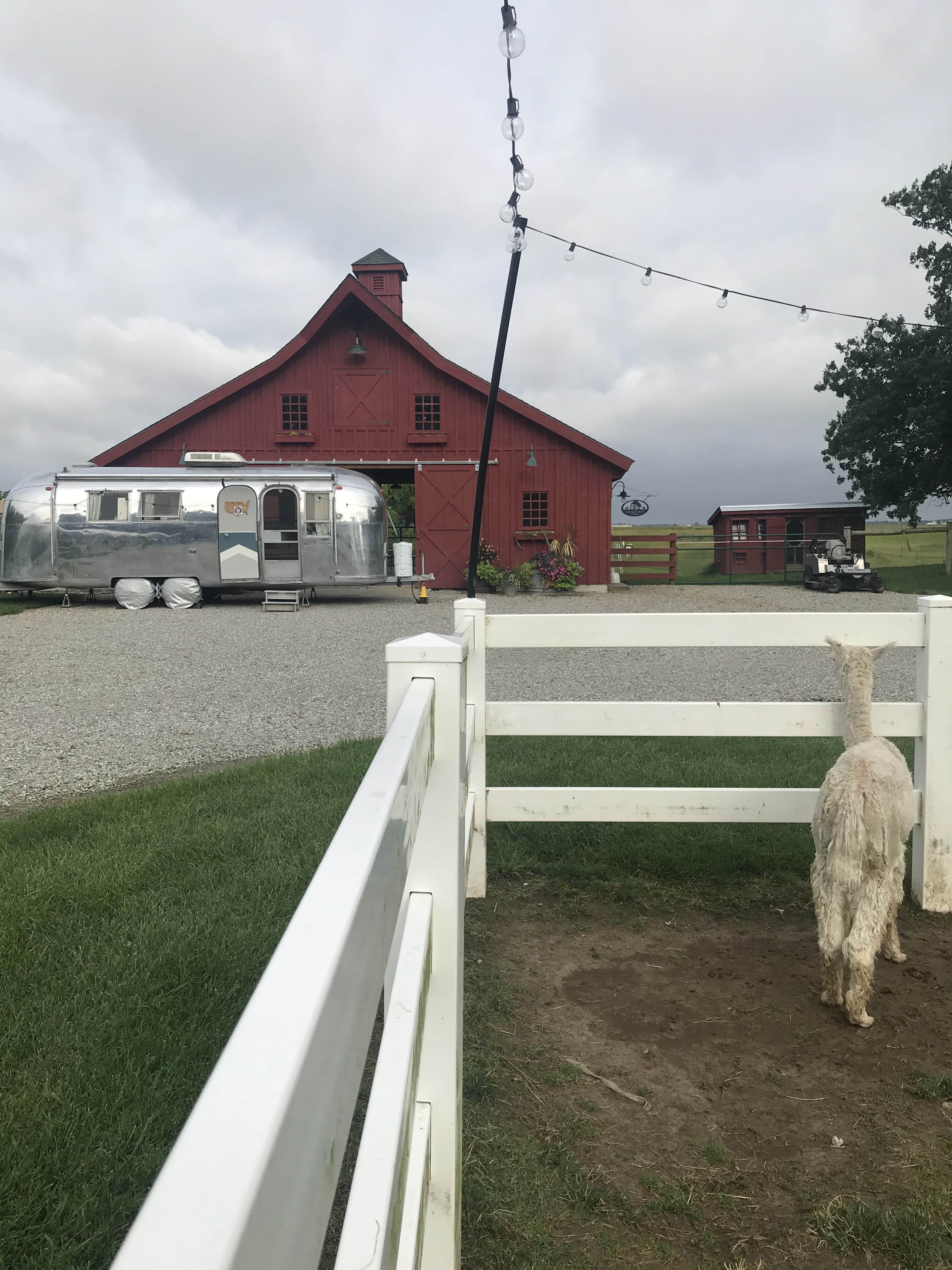 Kelsey G.'s photo of rv camping at Heritage Farm Alpaca Experience near Upland, IN