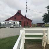 Review photo of Heritage Farm Alpaca Experience by Kelsey G., July 1, 2019