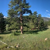 Review photo of Moraine Park Campground — Rocky Mountain National Park by Bounding Around , July 1, 2019