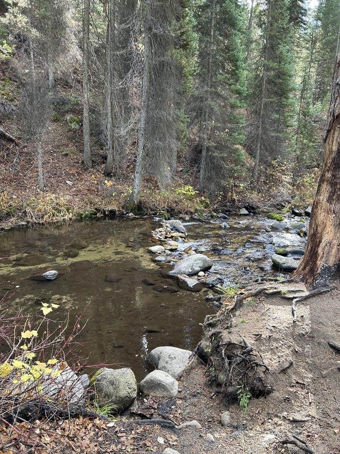 Camper submitted image from Ten Mile Campground - 2