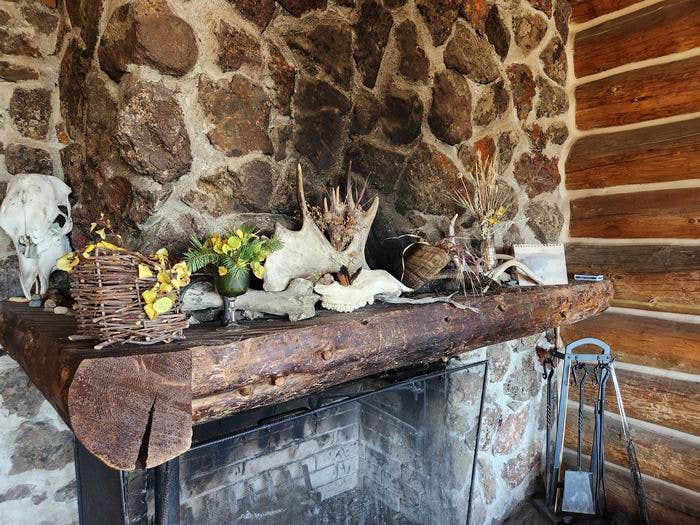 Camper submitted image from Axolotl Cabin - 2