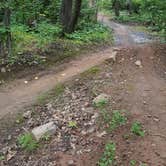 Review photo of Spirit Mountain Campground by Ryane P., September 17, 2016
