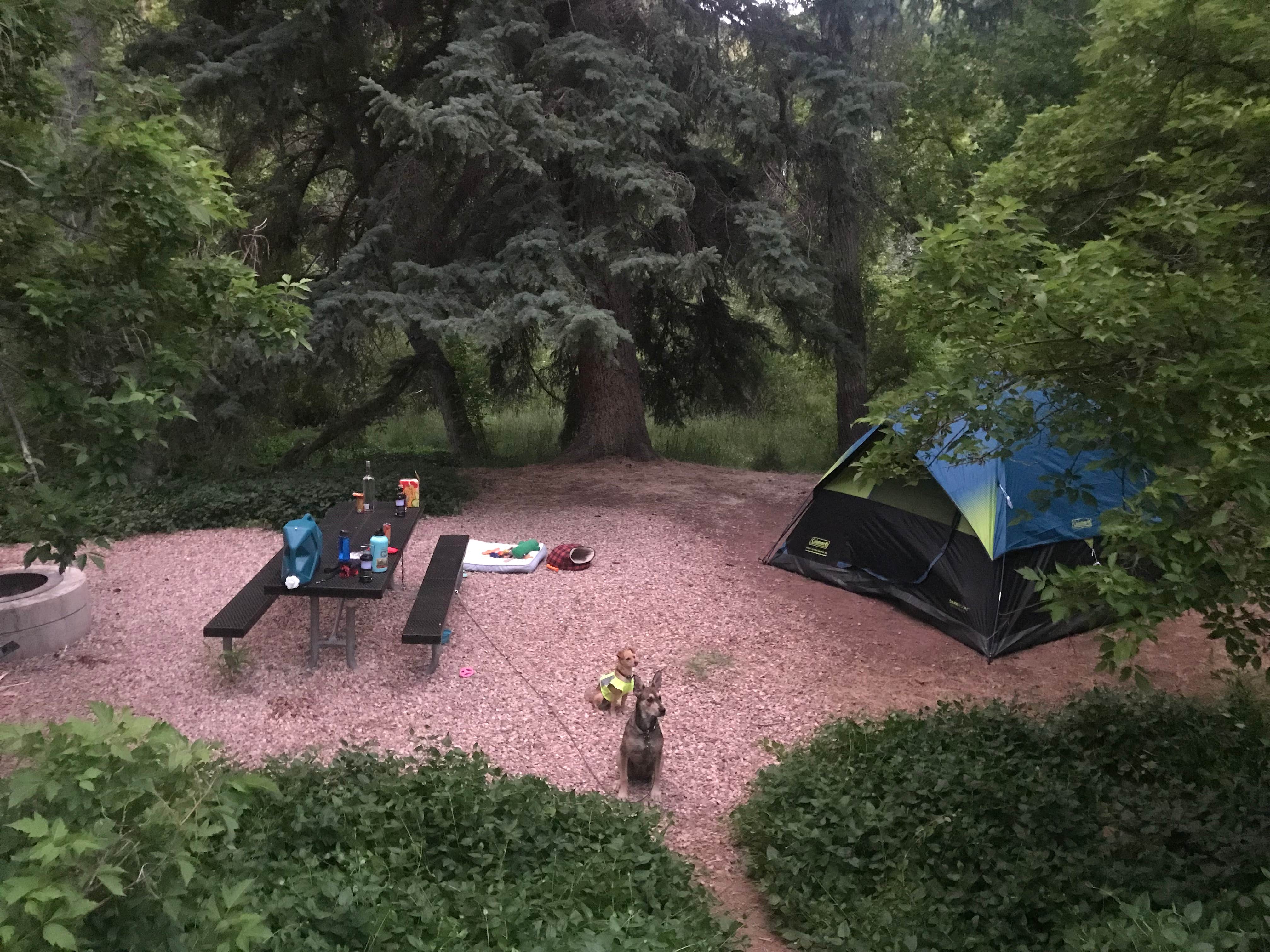 Samantha E.'s photo at Adelaide Campground near Delta, UT