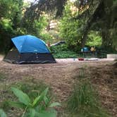 Review photo of Adelaide Campground by Samantha E., July 1, 2019