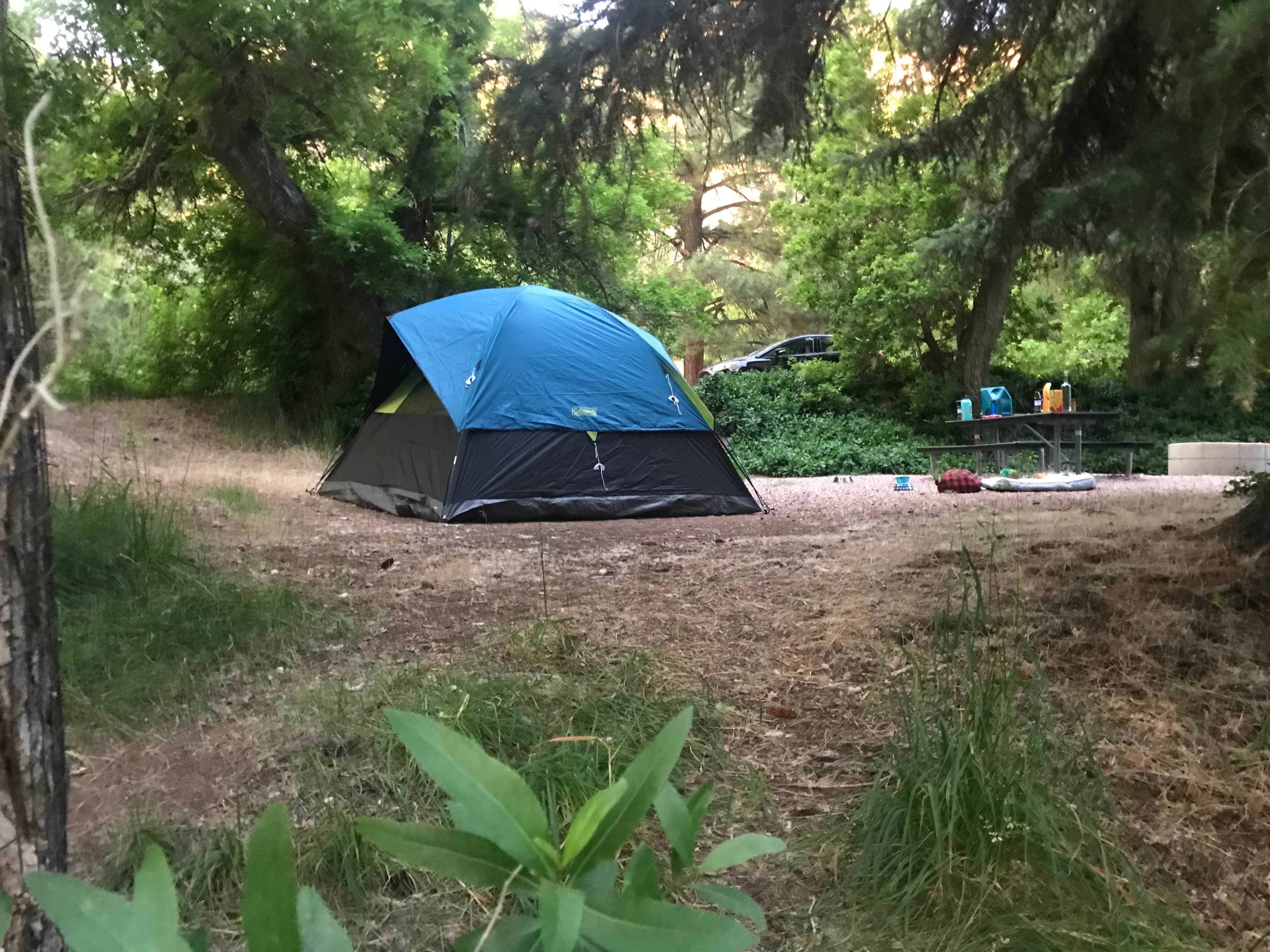 Camper submitted image from Adelaide Campground - 5