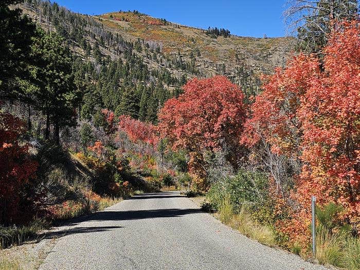 Camper submitted image from Price Canyon Recreation Area - 5