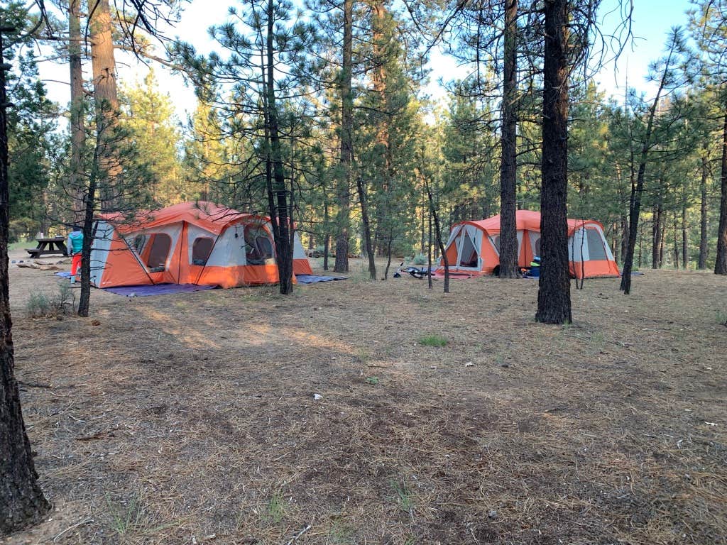 Amy B.'s photo at Heart Bar Campground near Morongo Valley, CA