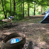 Review photo of East Fork State Park Campground by Nicole C., July 1, 2019