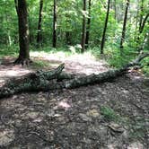 Review photo of East Fork State Park Campground by Nicole C., July 1, 2019