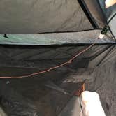 Review photo of East Fork State Park Campground by Nicole C., July 1, 2019