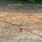 Review photo of East Fork State Park Campground by Nicole C., July 1, 2019