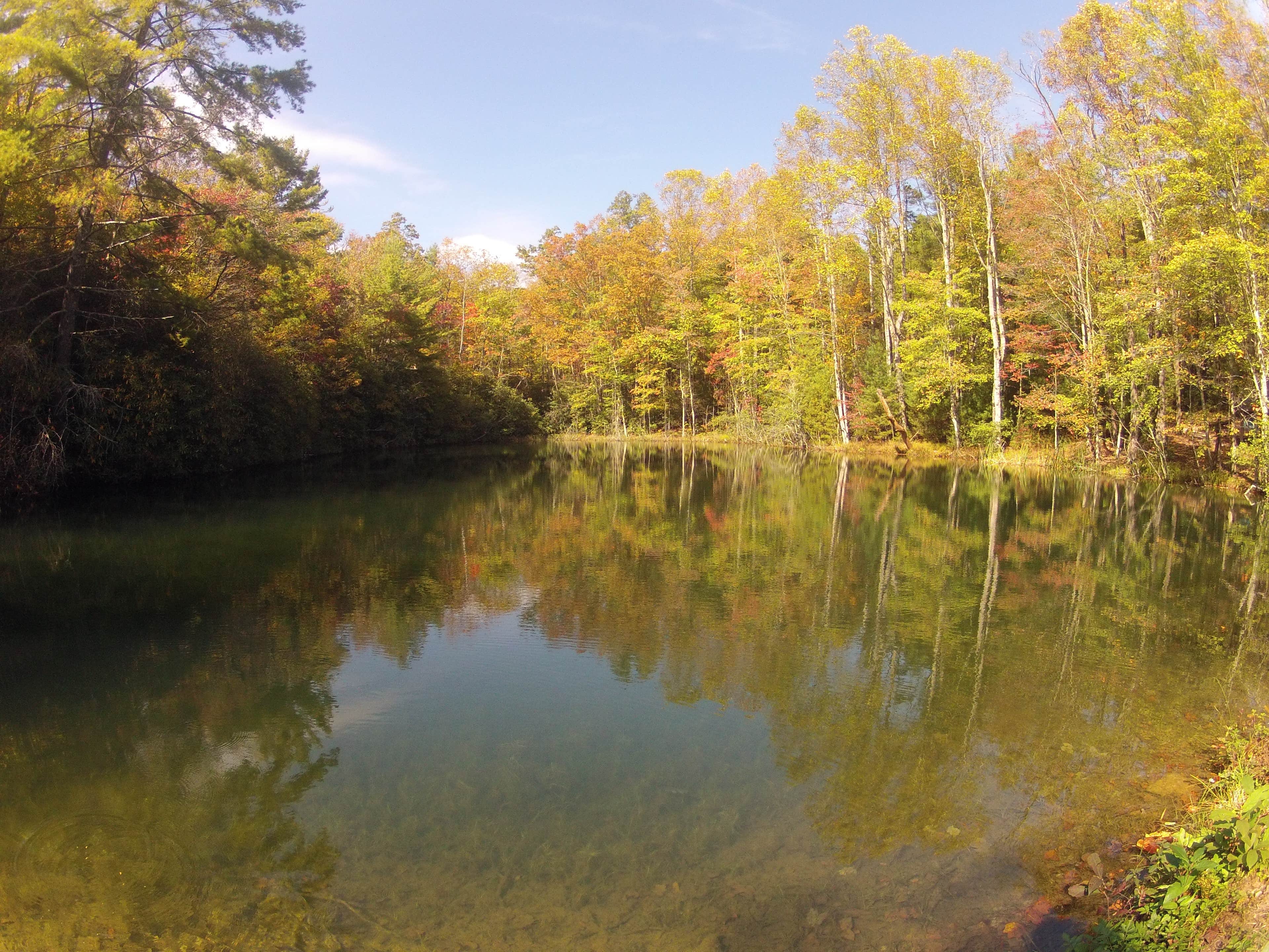 Camper submitted image from Ray Fisher Campground— CLOSED - 3
