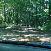 Review photo of East Fork State Park Campground by Nicole C., July 1, 2019
