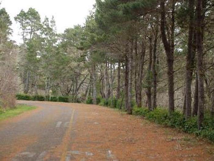 Camper submitted image from Bluebill Campground - 1