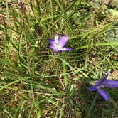 Review photo of Bullards Beach State Park Campground by Fidel S., July 2, 2019