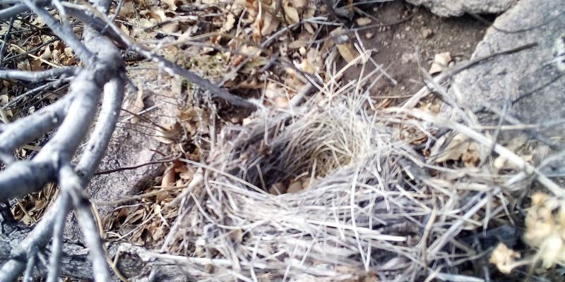 Camper submitted image from Monjeau Peak