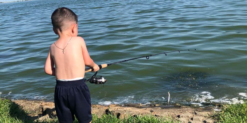 Camper submitted image from Braunig Lake Park