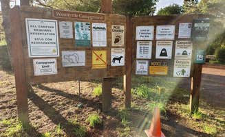 The Dyrt's photo of camping with pets at Waxmyrtle Campground near Siuslaw National Forest