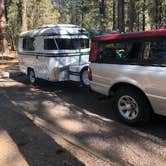 Review photo of Collier Memorial State Park Campground by Susan L., July 2, 2019